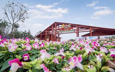 GA黄金甲·(中国集团)官方网站