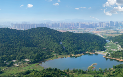 GA黄金甲·(中国集团)官方网站