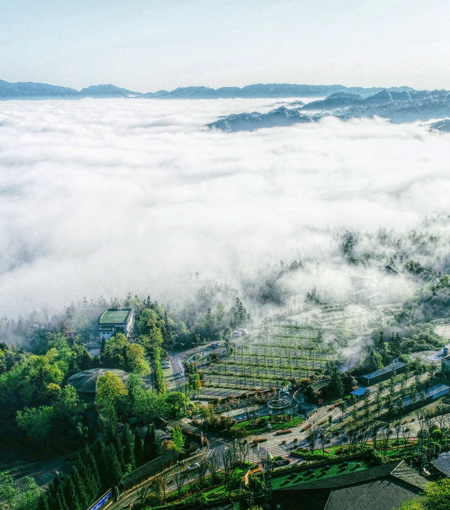 GA黄金甲·(中国集团)官方网站