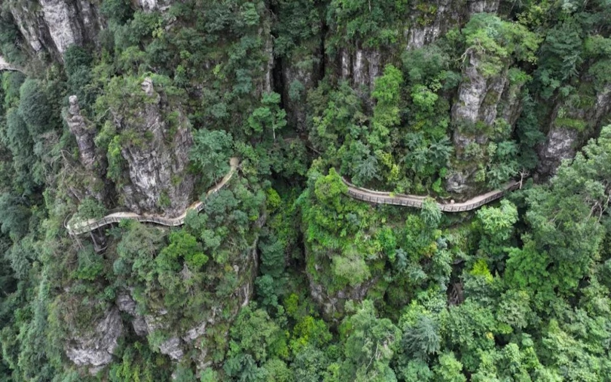GA黄金甲·(中国集团)官方网站